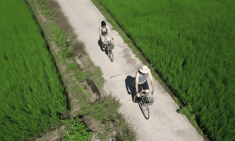 You&rsquo;ll be surrounded by endless green fields and traditional gardens